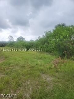 Real estate property located at 439 Naples AVE S, Lee, Lehigh Acres, Lehigh Acres, FL