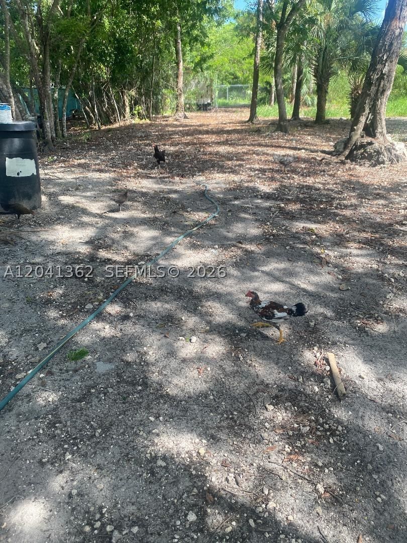 Real estate property located at 23625 SW 125 AV, Miami-dade, Acreage, Homestead, FL
