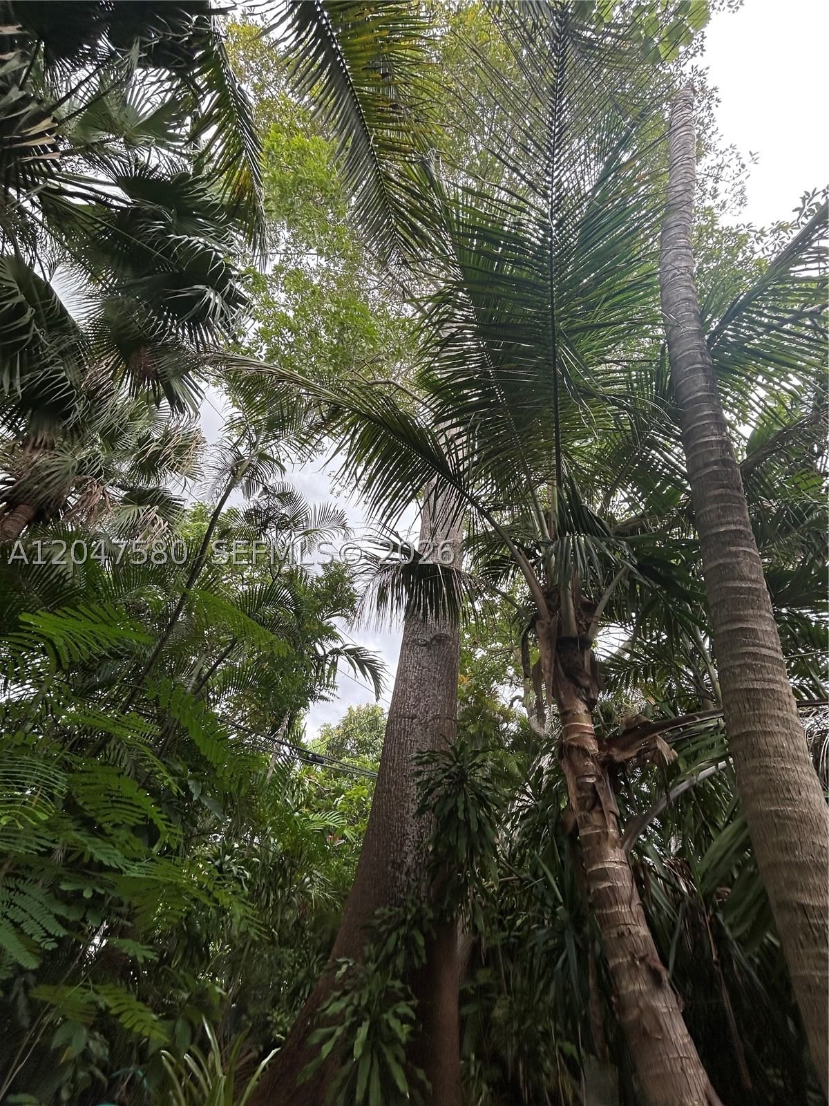 Real estate property located at 8285 47th St, Miami-dade, Lake Park Sec 2, Miami, FL
