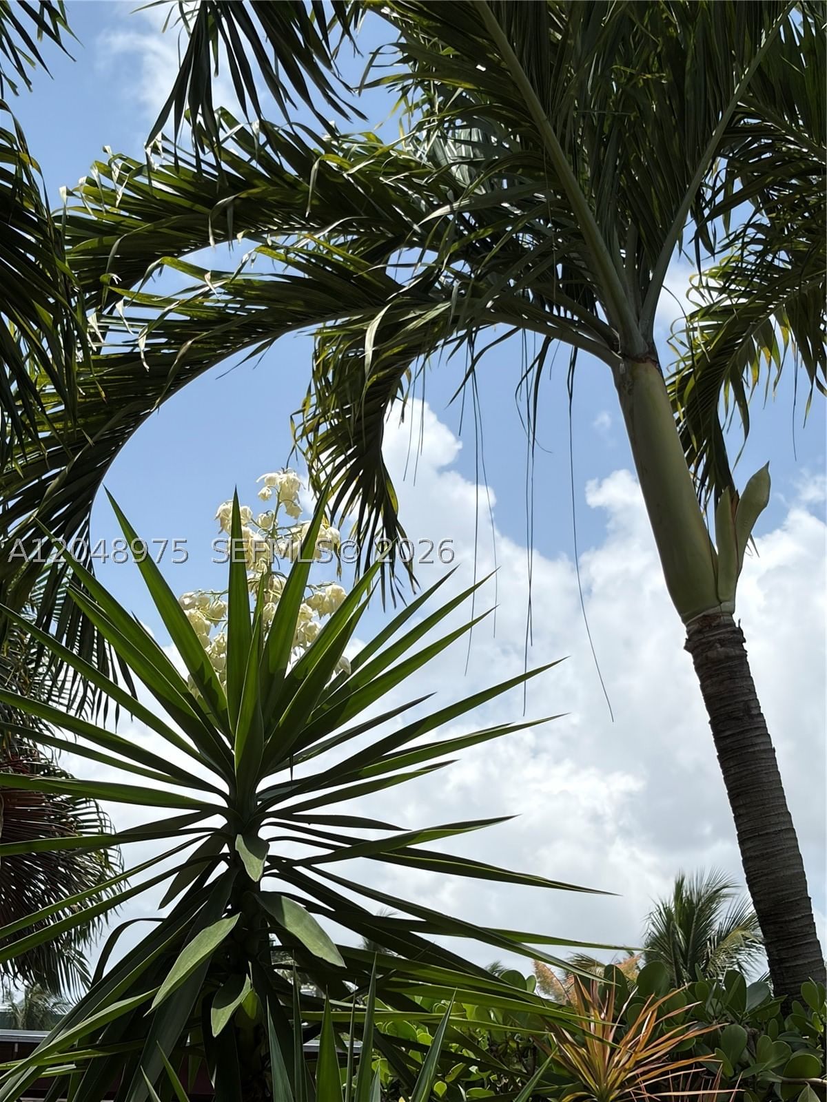 Real estate property located at 1401 Argonaut Isle, Broward, Florian Isles 3rd Sec, Dania Beach, FL