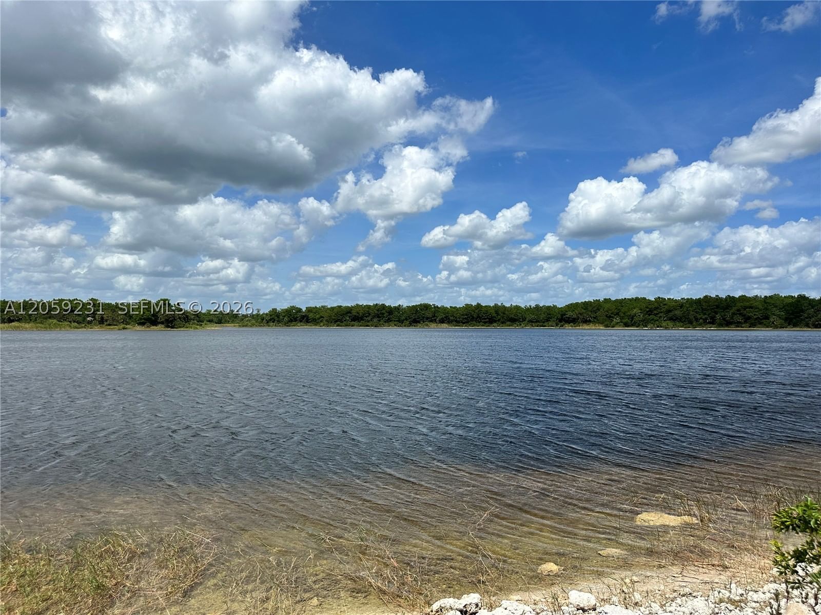 Real estate property located at 515 Shady hollow blvd W, Collier, Saddlebrook Lakes, Naples, FL