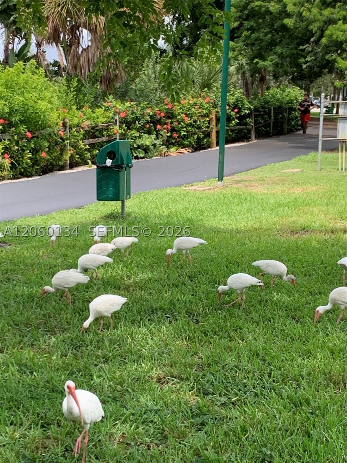 Real estate property located at 3625 Country Club Drive #1805, Miami-dade, Aventura Eldorado Condo, Aventura, FL