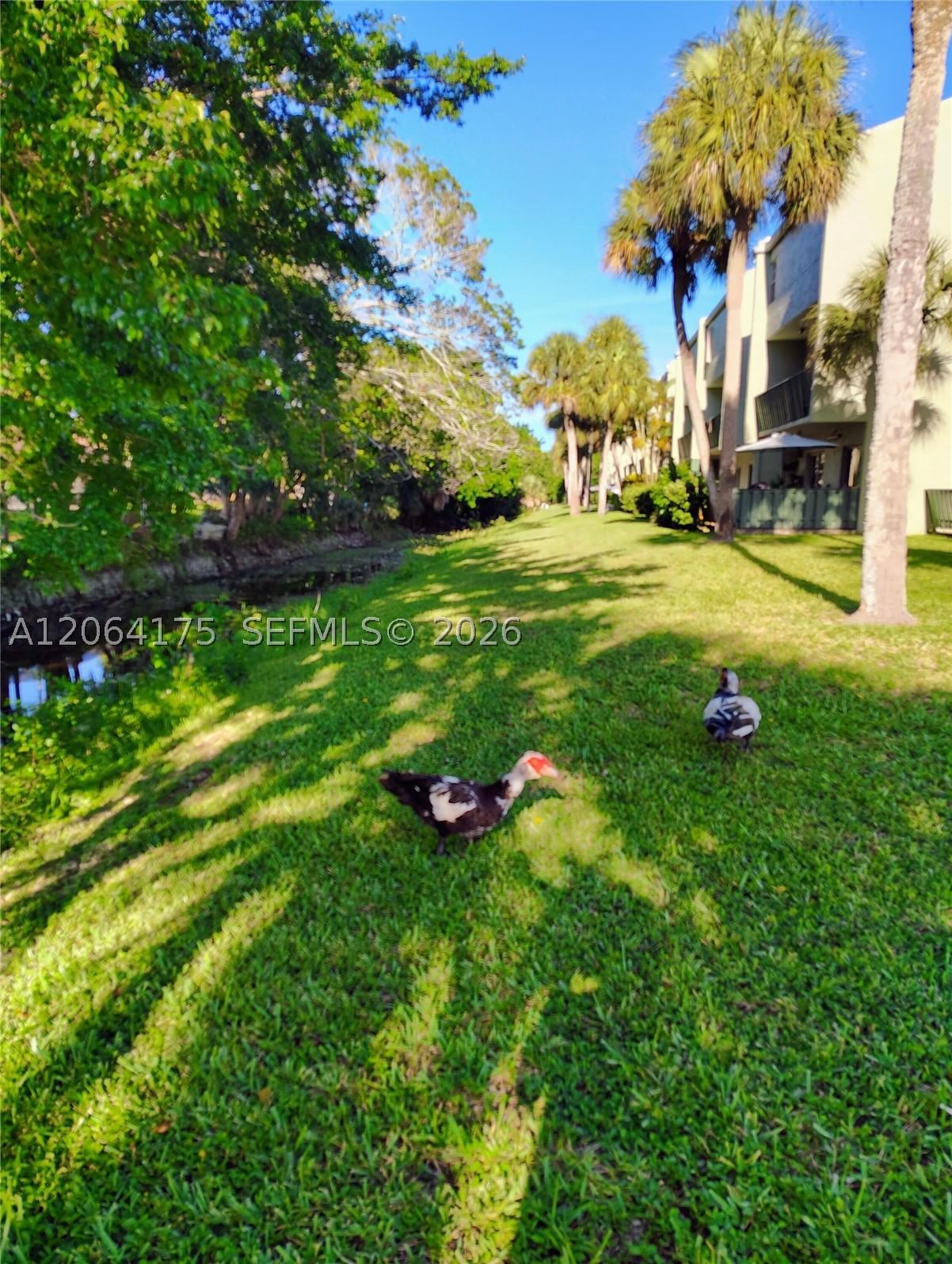 Real estate property located at 8921 28th Dr #62, Broward, Sun And Lake Condo, Coral Springs, FL