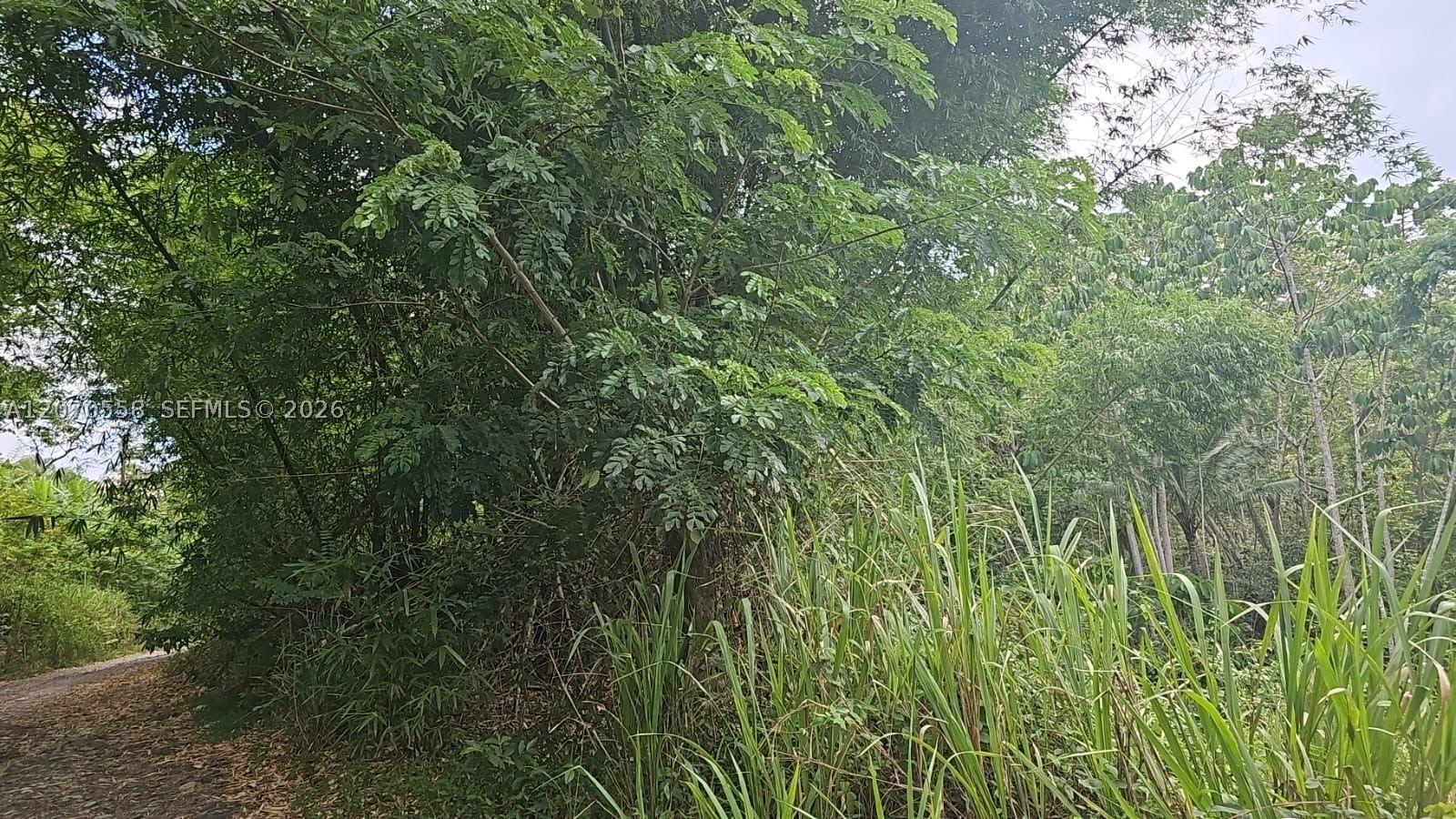 Real estate property located at 00 FORT GEORGE, SAINT MARY, JAMAICA, Other, Na, FL, JM
