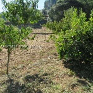 Real estate property located at 00 FORT GEORGE, SAINT MARY, JAMAICA, Other, Na, FL, JM