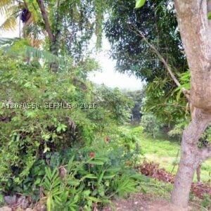 Real estate property located at 00 FORT GEORGE, SAINT MARY, JAMAICA, Other, Na, FL, JM