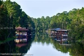 Real estate property located at 0 Bougainvillea Drive, Polk, Indian Lake Est, Lake Wales, FL
