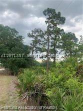 Real estate property located at 615 Wildflower Street, Highlands, Leisure Lakes S, Lake Placid, FL