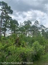 Real estate property located at 615 Wildflower Street, Highlands, Leisure Lakes S, Lake Placid, FL