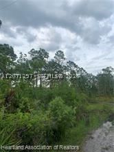 Real estate property located at 615 Wildflower Street, Highlands, Leisure Lakes S, Lake Placid, FL