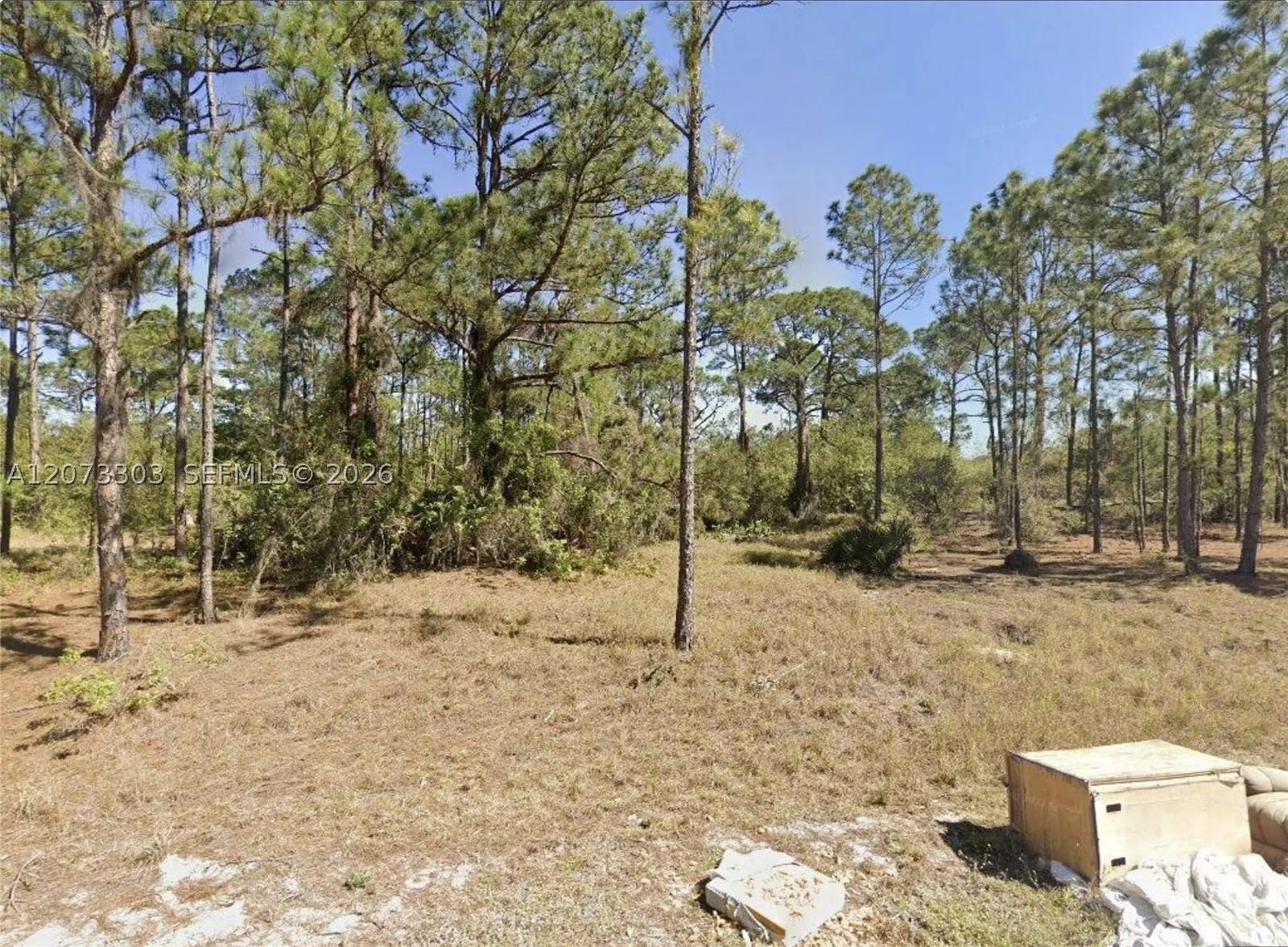 Real estate property located at 613 Lynn court, Highlands, Sun N Lakes Lp East Side, Lake Placid, FL