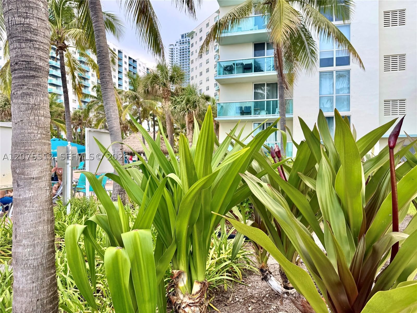 Real estate property located at 3901 Ocean Dr #15O, Broward, Tides On Hollywood Beach, Hollywood, FL
