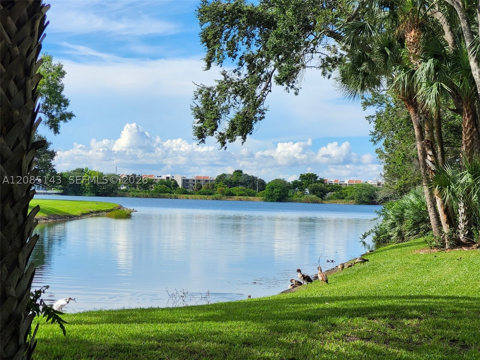 Real estate property located at 2440 33rd St #1803, Broward, Sailboat Pointe Condo, Oakland Park, FL