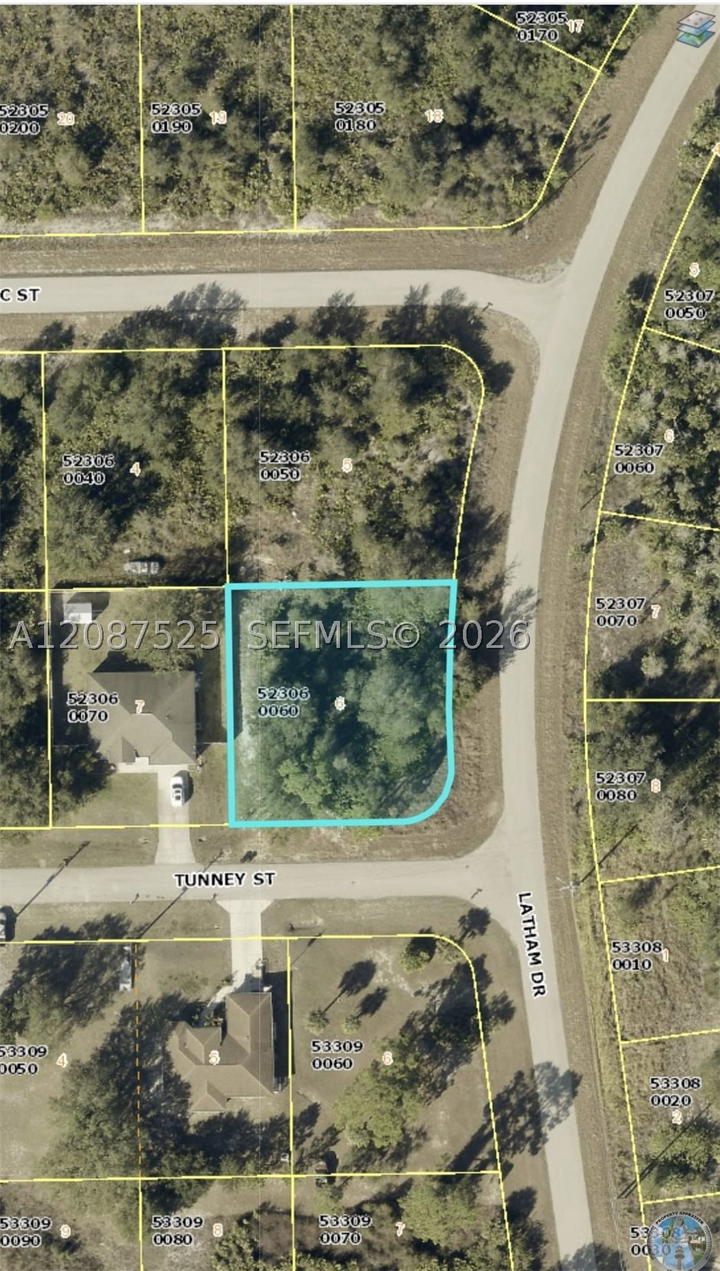 Real estate property located at 710 Tunney Street, Lee, Greenbriar, Lehigh Acres, FL