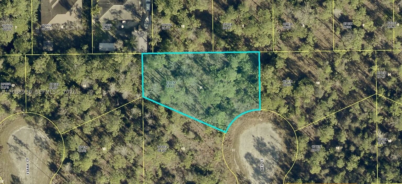 Real estate property located at 1905 Ney Ct., Lee, Other Geographic Area (out Of Area Only), Lehigh Acres, FL