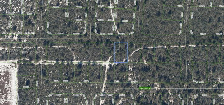 Real estate property located at 437 Souvenir Lane, Highlands, Sun N Lakes, Lake Placid, FL