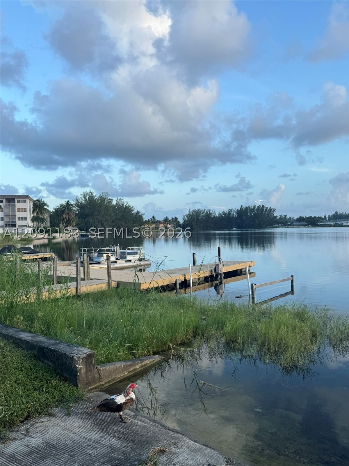 Real estate property located at 4491 Crystal Lake Dr #204B, Broward, Crystal Bay Club Condo, Deerfield Beach, FL