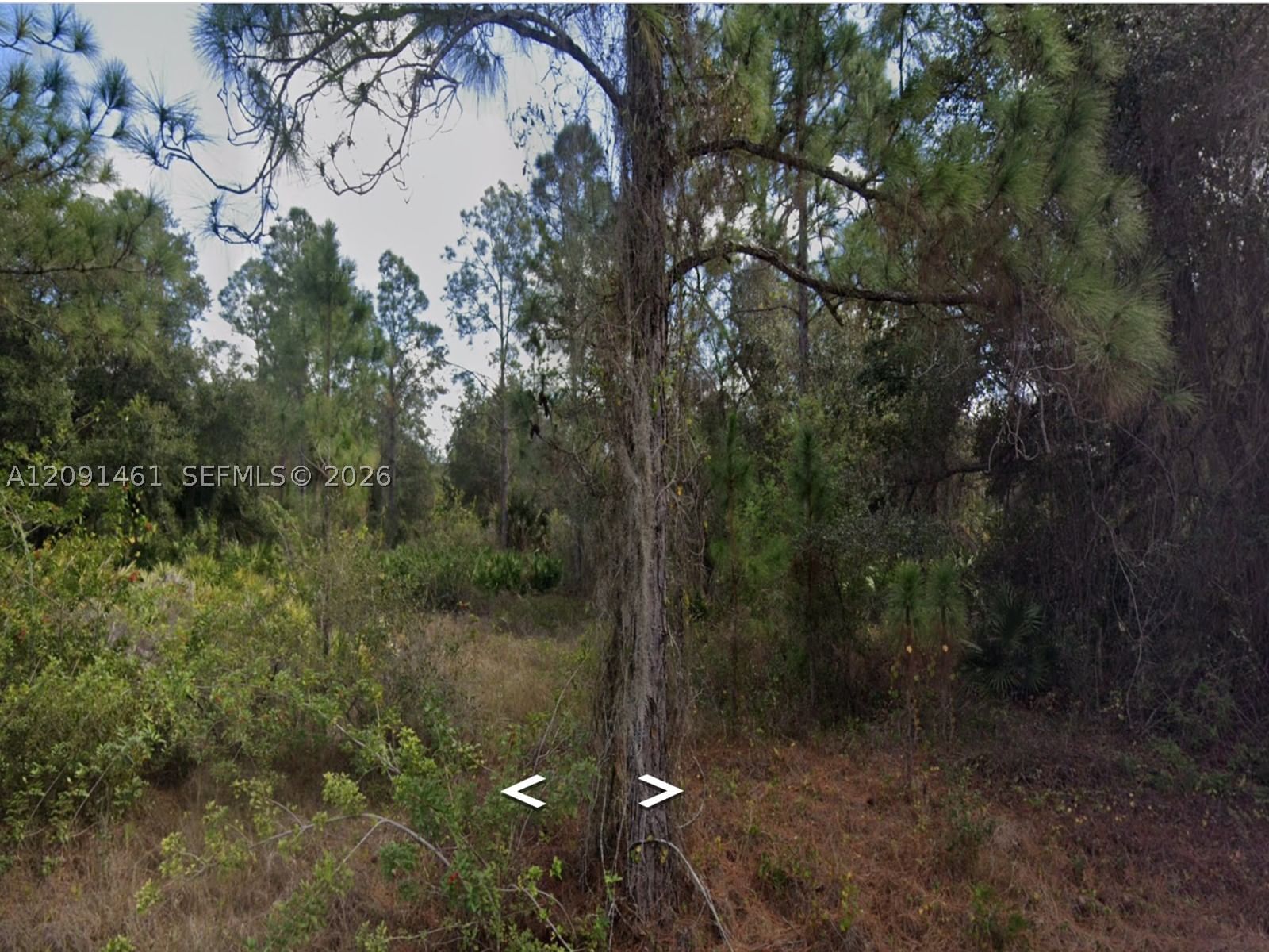 Real estate property located at 1312 Irving ave, Lee, Lehigh Acres Unt 4, Lehigh Acres, FL