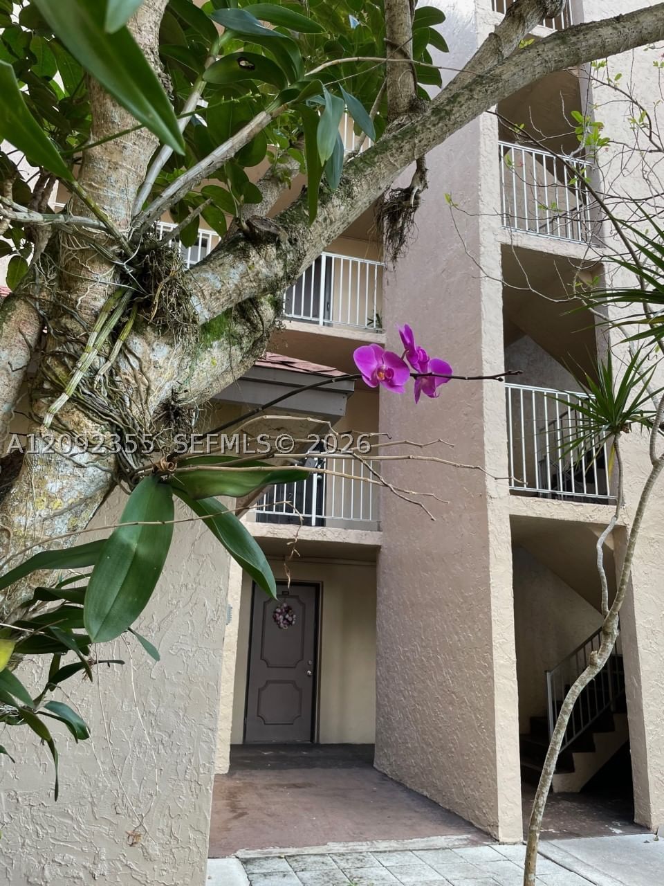 Real estate property located at 9431 Live Oak Pl #203, Broward, Live Oak Condo Twelve, Davie, FL
