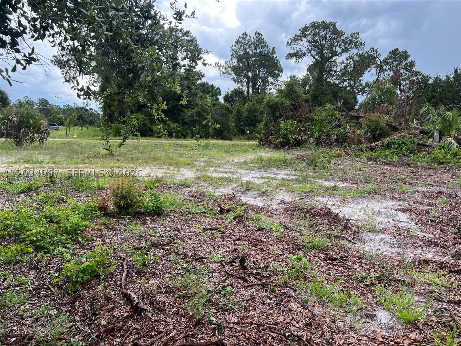 Real estate property located at 17 Roosevelt Ave, Lee, Lehigh Acres, Lehigh Acres, FL
