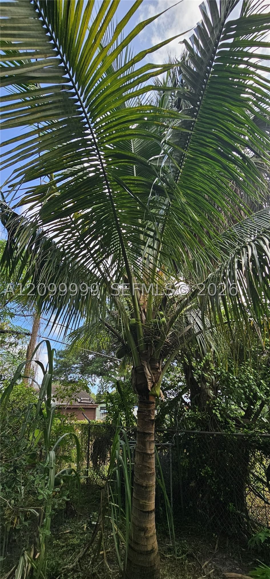 Real estate property located at 352 31st Ave, Broward, Boulevard Garden, Fort Lauderdale, FL