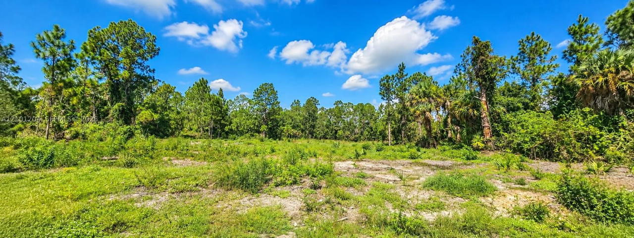 Real estate property located at 1221 ACACIA AVE, Lee, Lehigh Acres Unit, Lehigh Acres, FL