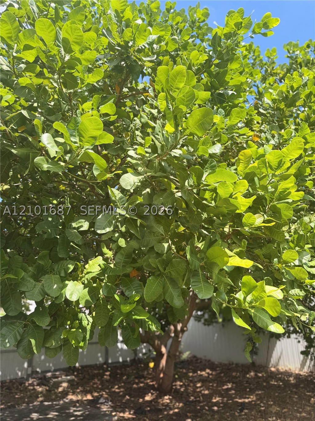 Real estate property located at 2319 Taft St, Broward, Hollywood Park, Hollywood, FL