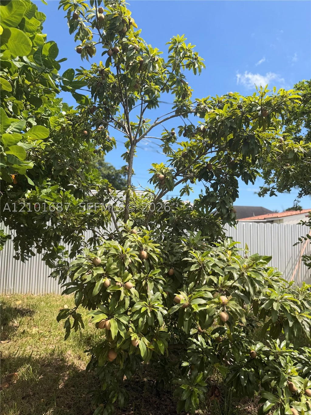 Real estate property located at 2319 Taft St, Broward, Hollywood Park, Hollywood, FL
