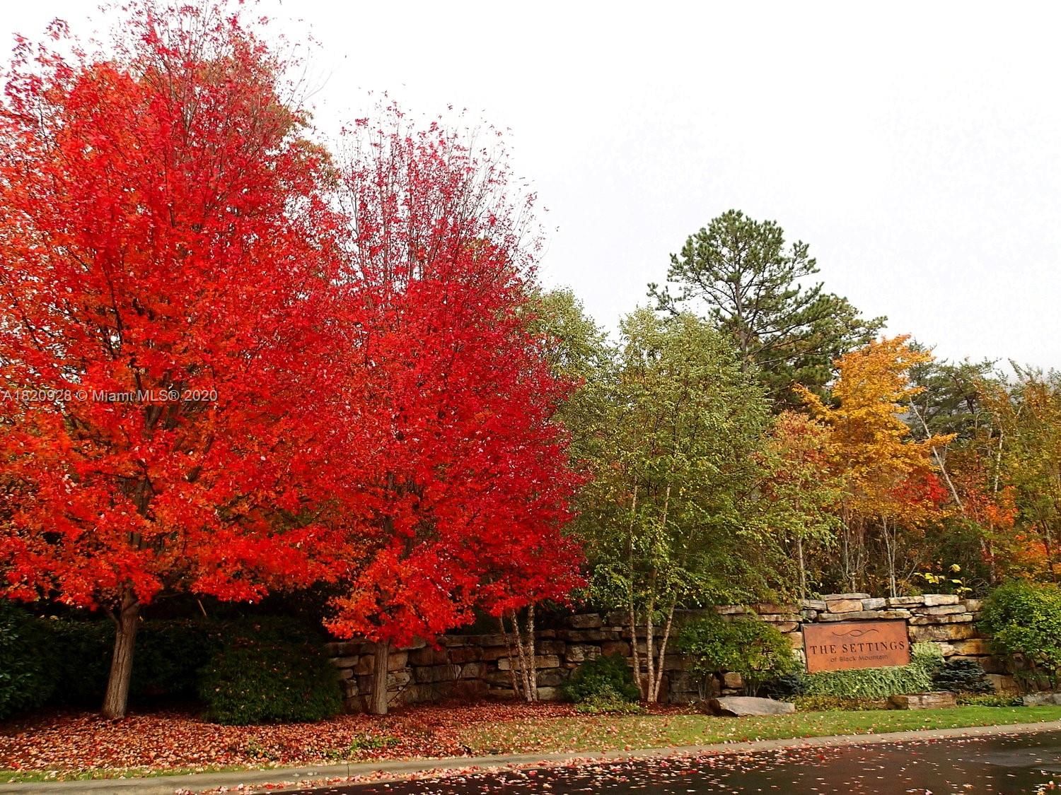 Real estate property located at 25 FATES OVERLOOK LOOP #103, OUTSIDE of Florida, Settings of Blk Mountain, NC