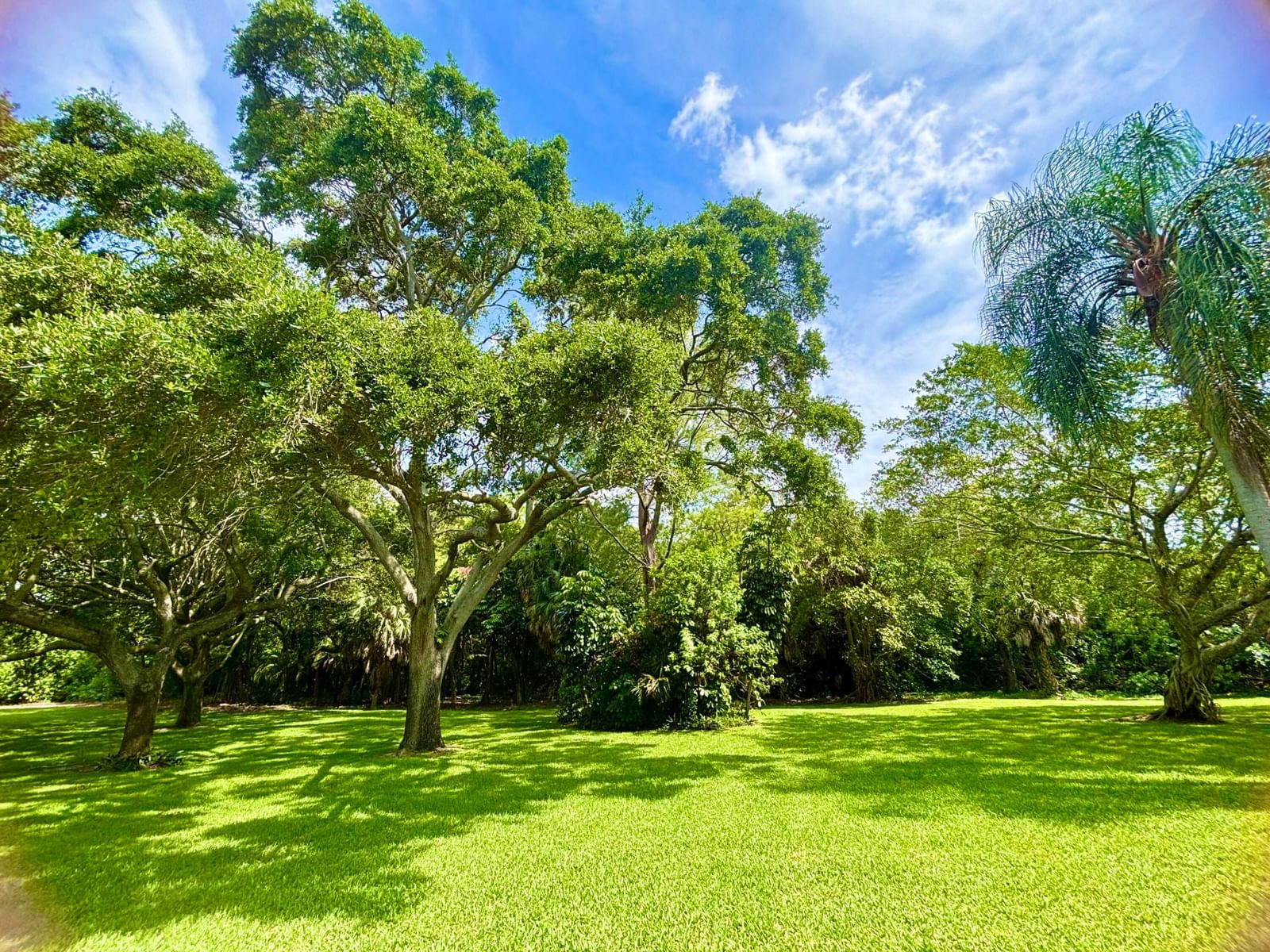 Real estate property located at 2069 Oakridge F Unit 2069, Broward, Oakridge F Condo, Deerfield Beach, FL, US