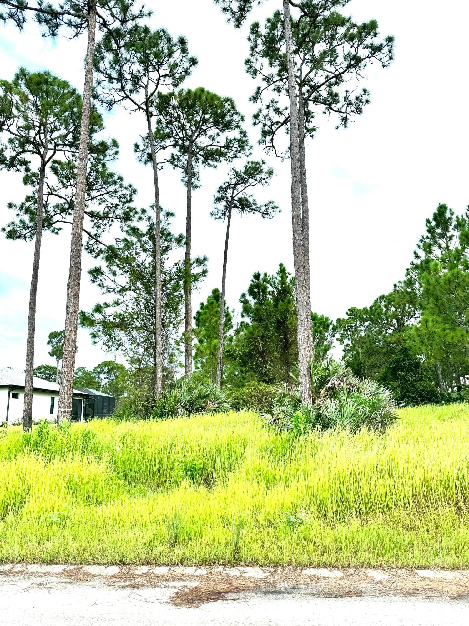 Real estate property located at 10615 Sugar Pine, St Lucie, Pine Hollow Units Tree & F, Fort Pierce, FL, US