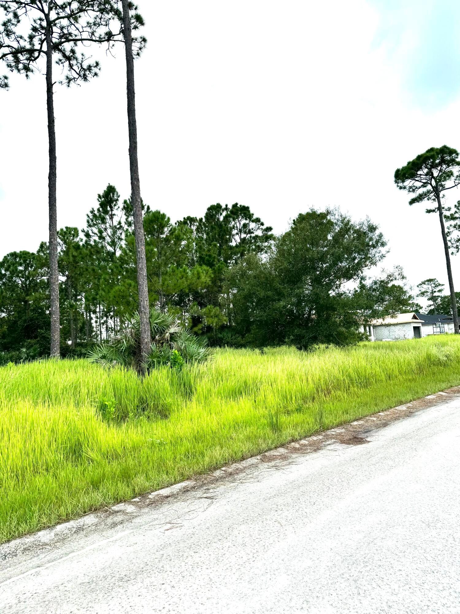Real estate property located at 10615 Sugar Pine, St Lucie, Pine Hollow Units Tree & F, Fort Pierce, FL, US