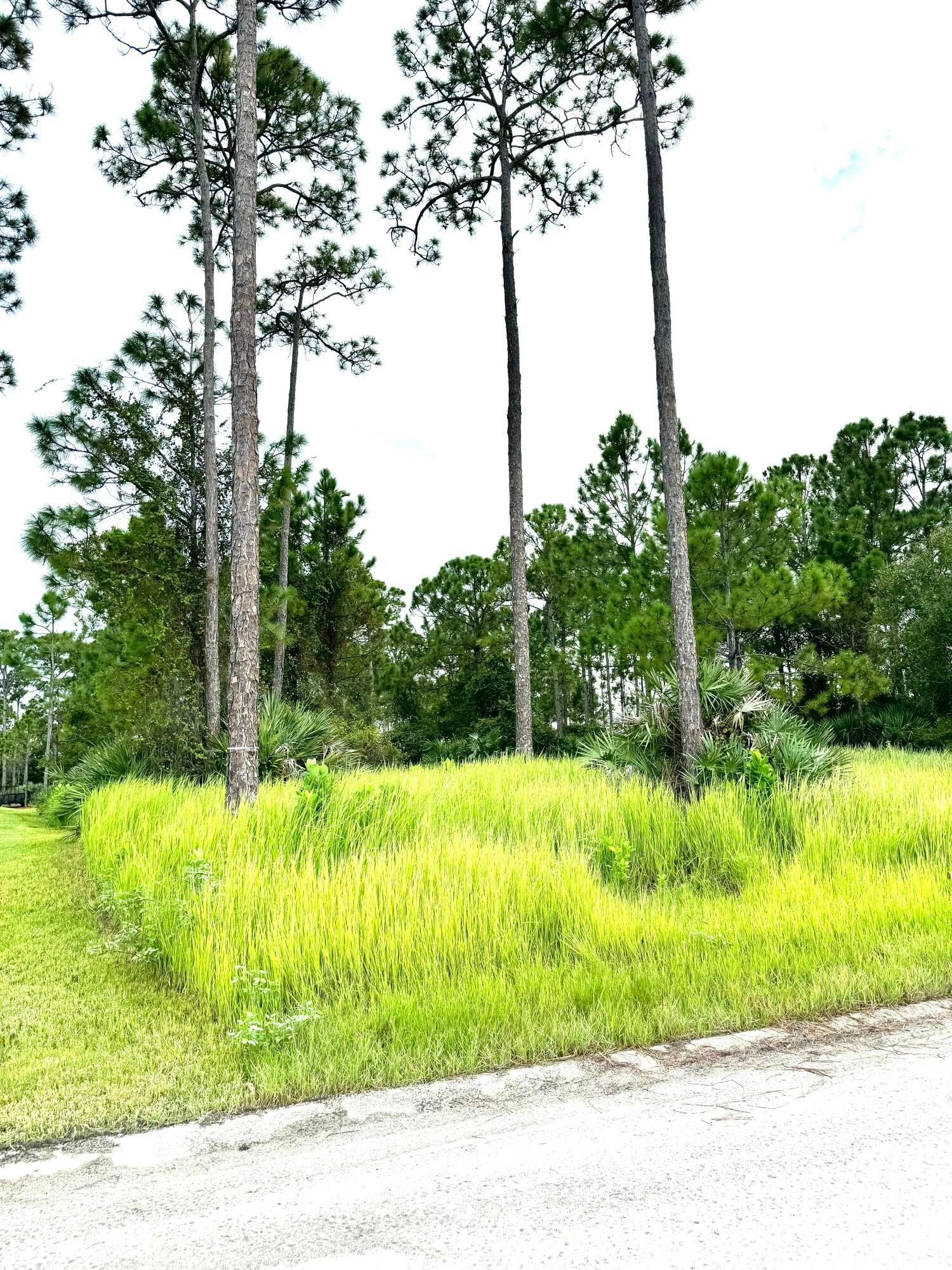 Real estate property located at 10615 Sugar Pine, St Lucie, Pine Hollow Units Tree & F, Fort Pierce, FL, US