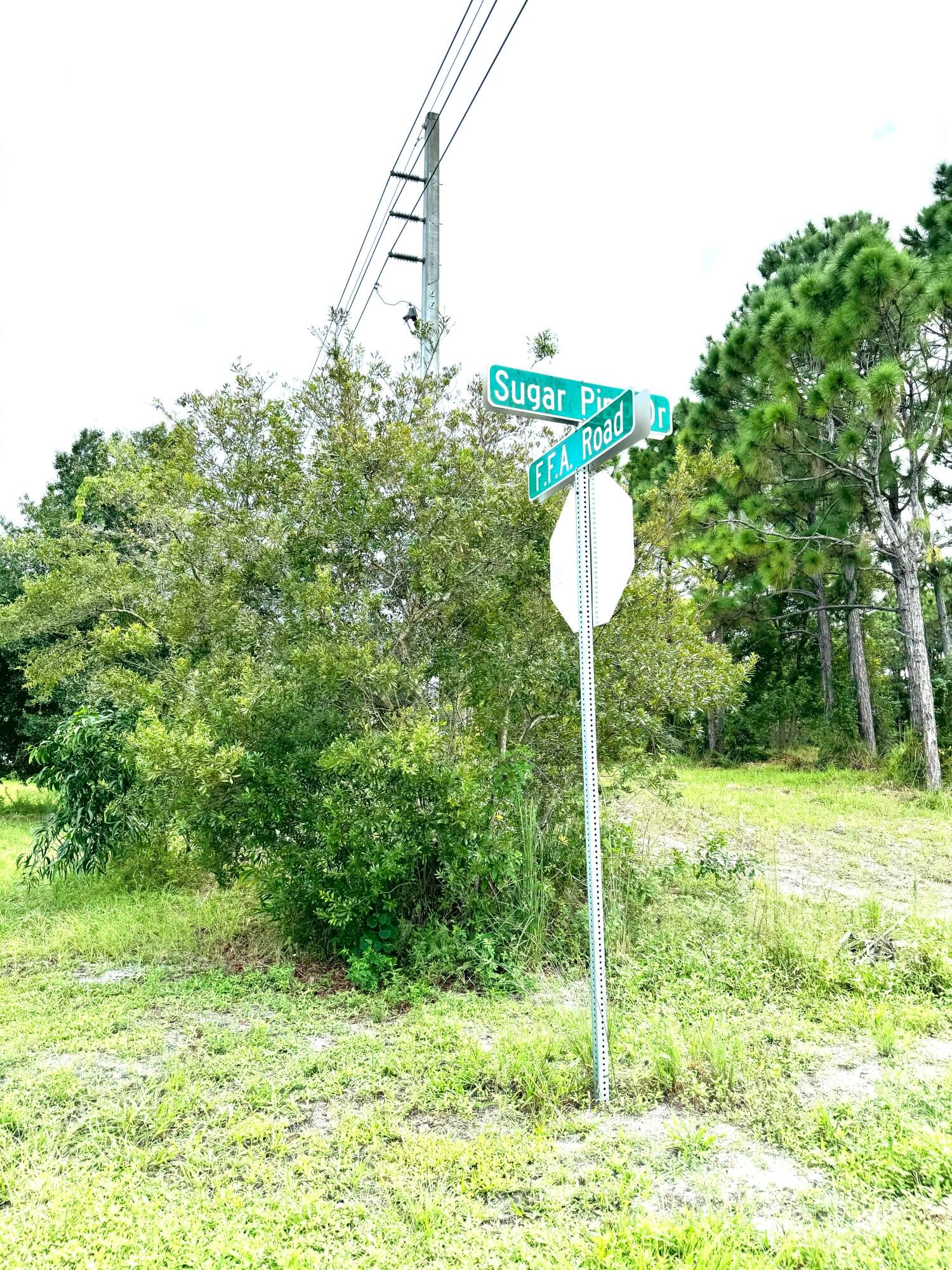 Real estate property located at 10615 Sugar Pine, St Lucie, Pine Hollow Units Tree & F, Fort Pierce, FL, US