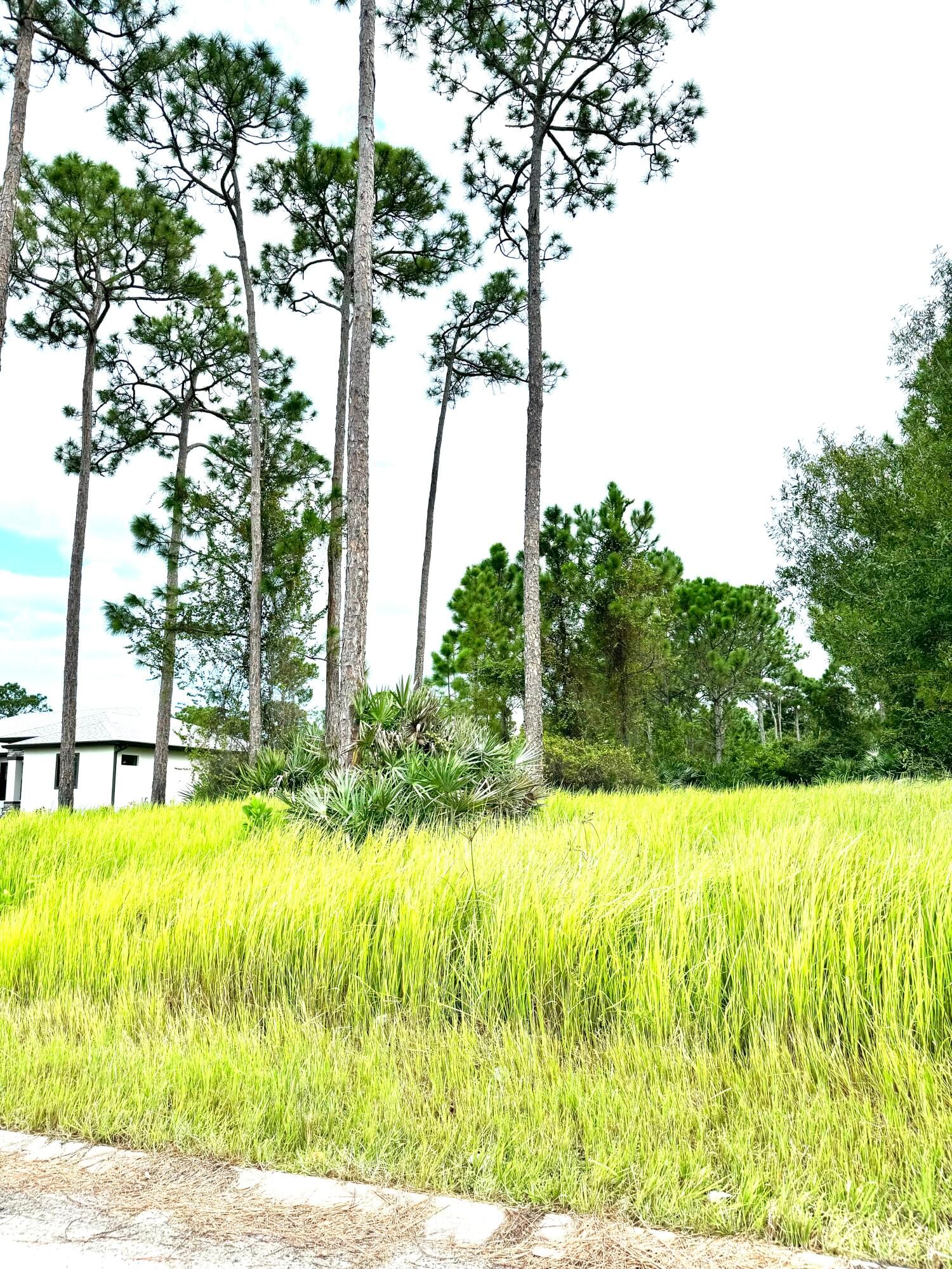 Real estate property located at 10615 Sugar Pine, St Lucie, Pine Hollow Units Tree & F, Fort Pierce, FL, US