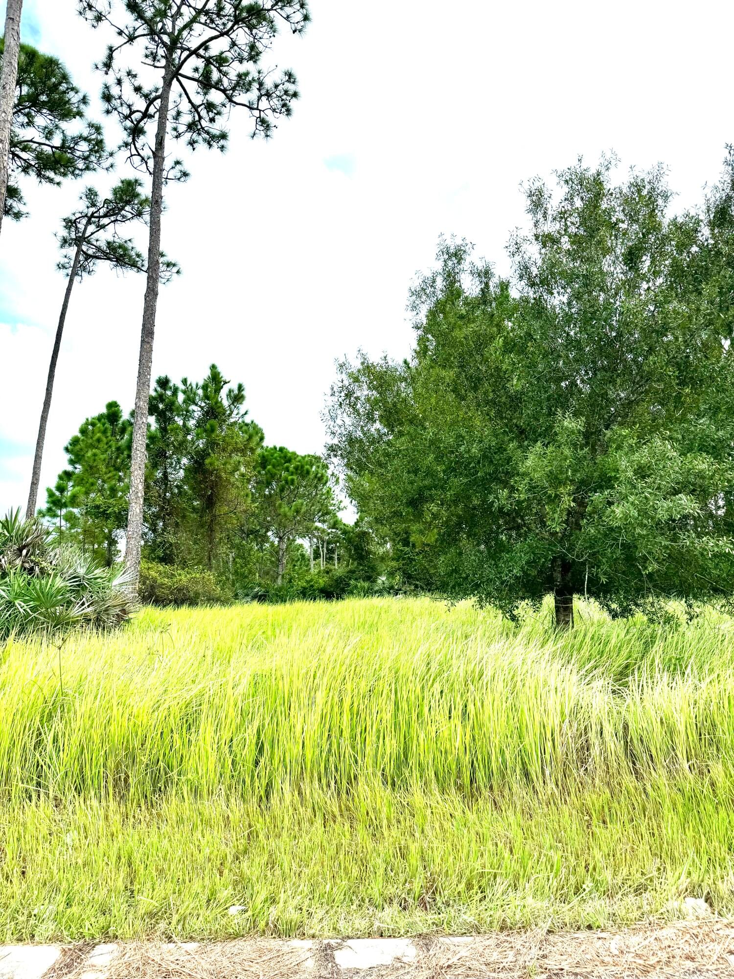 Real estate property located at 10615 Sugar Pine, St Lucie, Pine Hollow Units Tree & F, Fort Pierce, FL, US