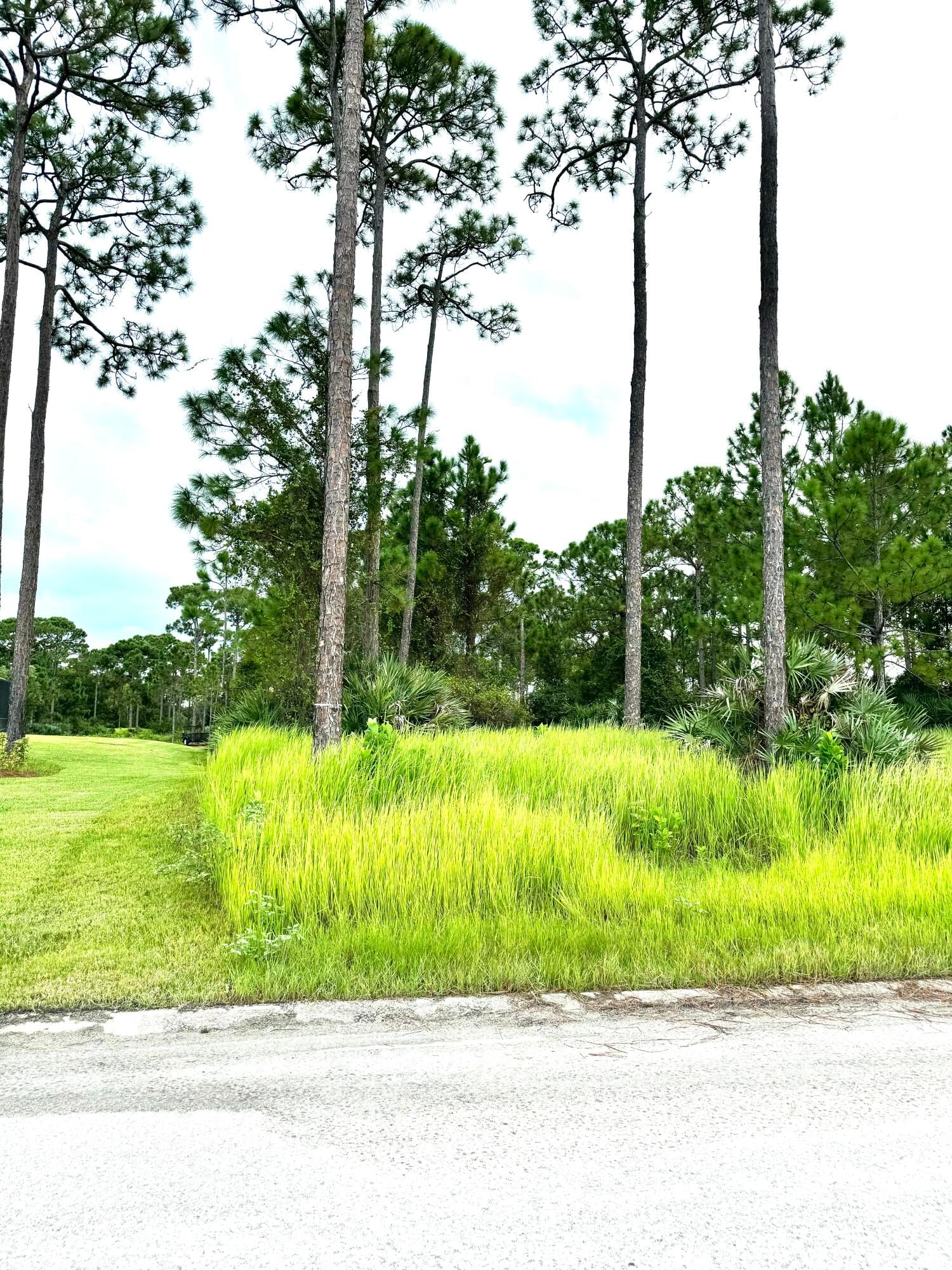 Real estate property located at 10615 Sugar Pine, St Lucie, Pine Hollow Units Tree & F, Fort Pierce, FL, US