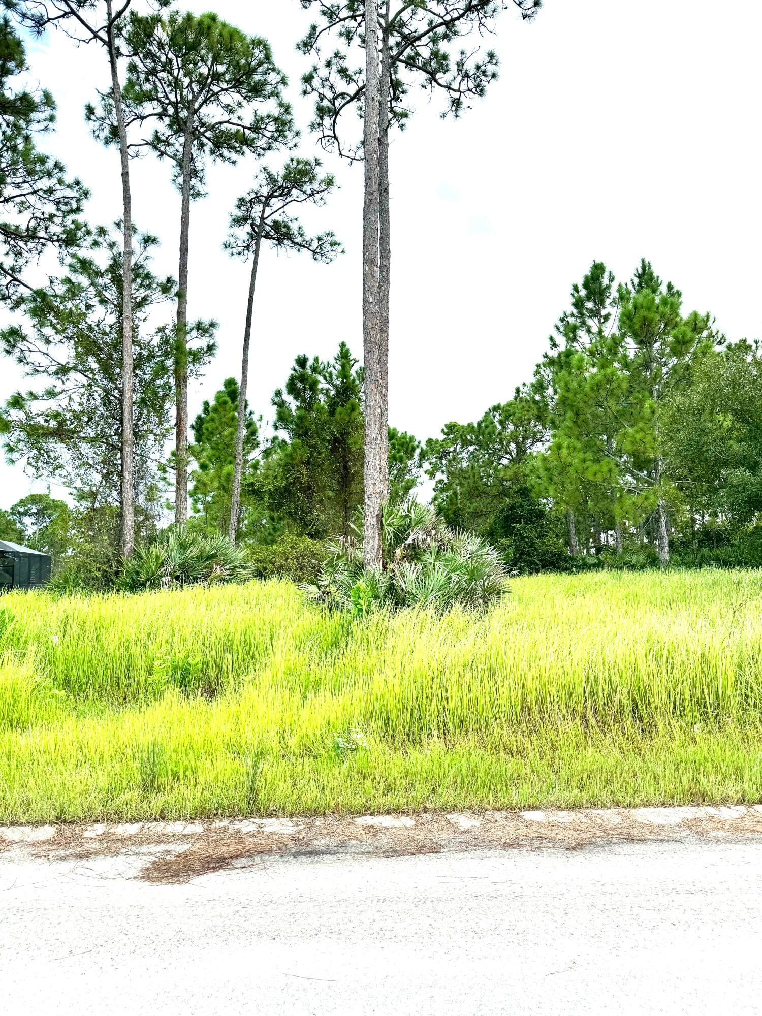 Real estate property located at 10615 Sugar Pine, St Lucie, Pine Hollow Units Tree & F, Fort Pierce, FL, US