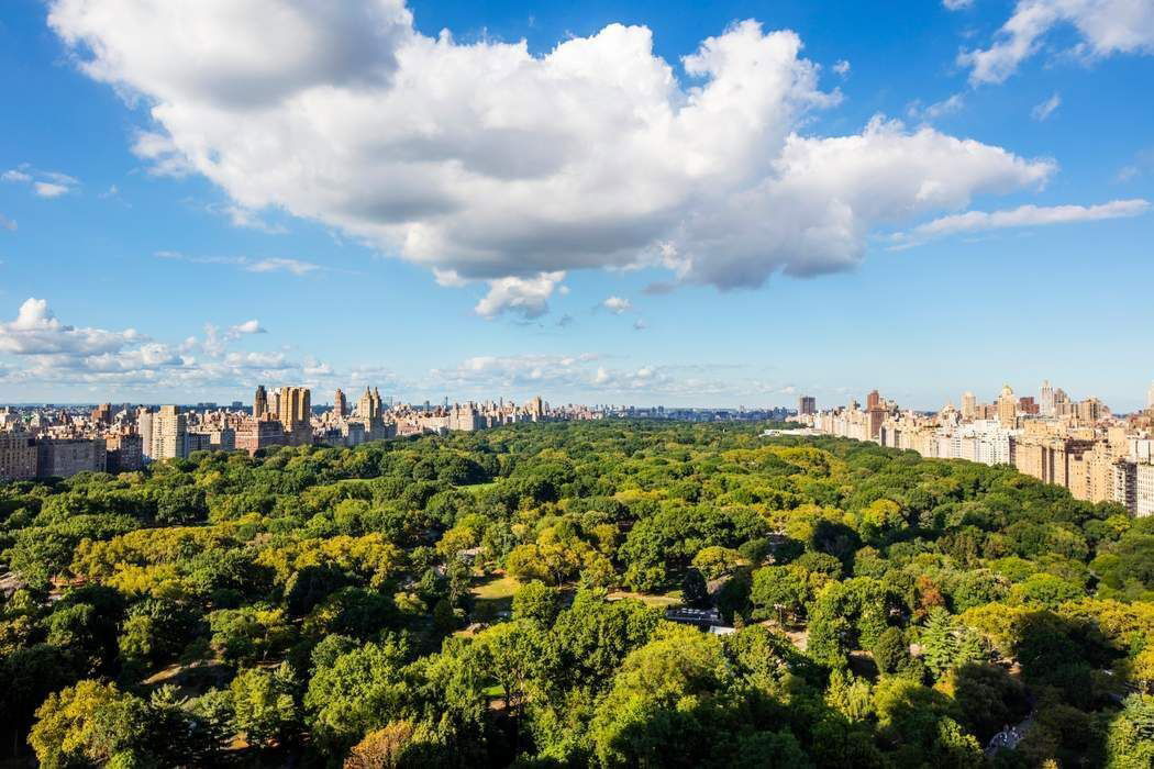 Real estate property located at 50 Central #30/31, NewYork, Central Park South, New York City, NY