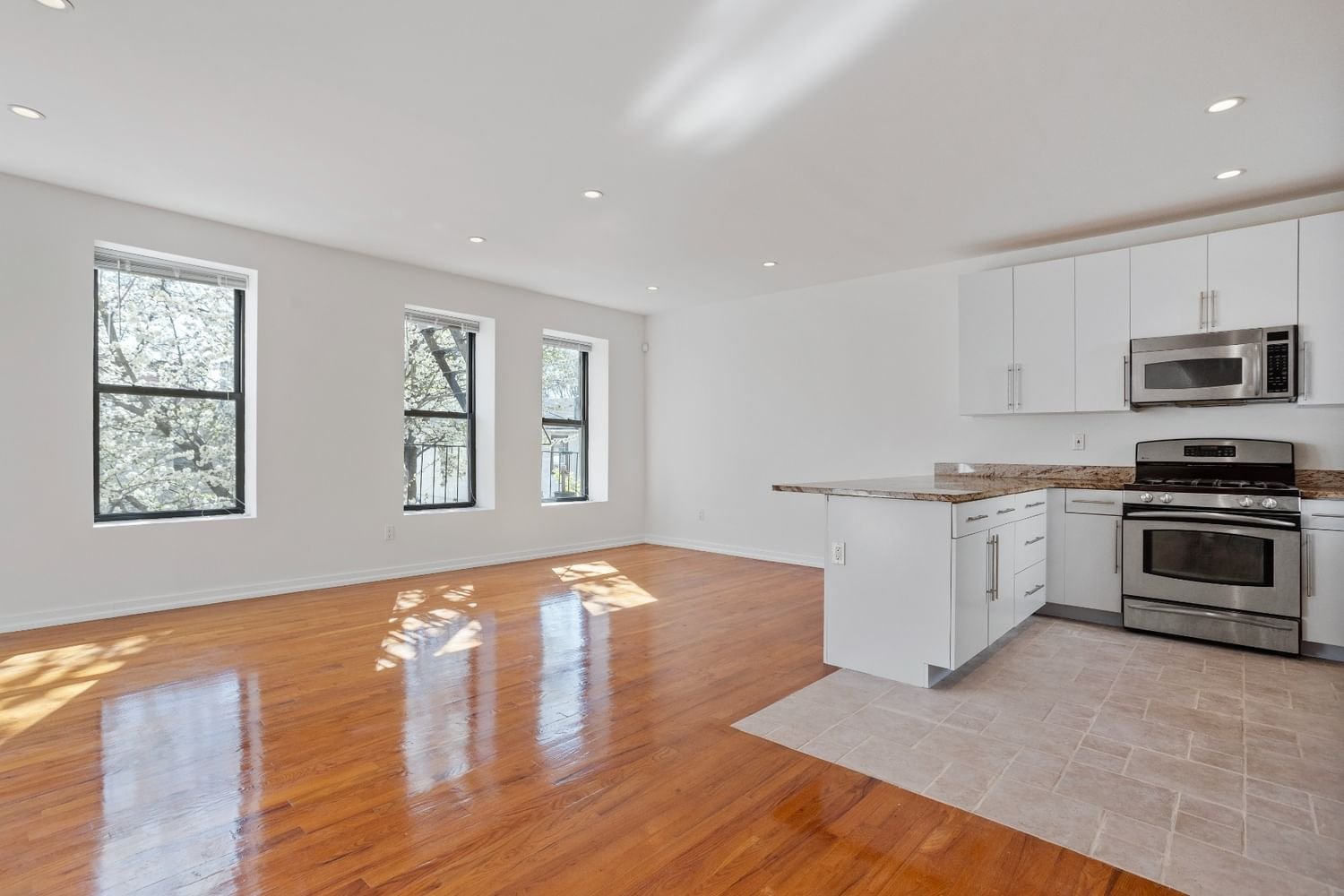 Real estate property located at 1733 14th D, Kings, Ocean Hill, New York City, NY