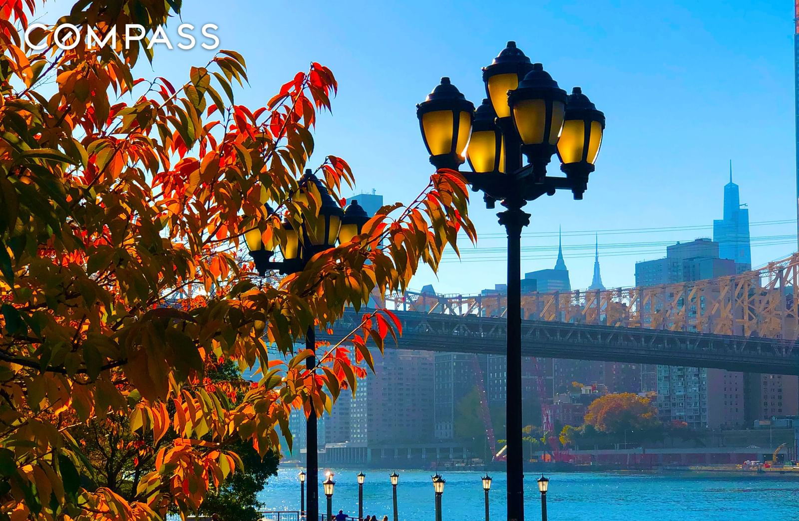 Real estate property located at 555 Main #1315, New York, Roosevelt Island, New York City, NY