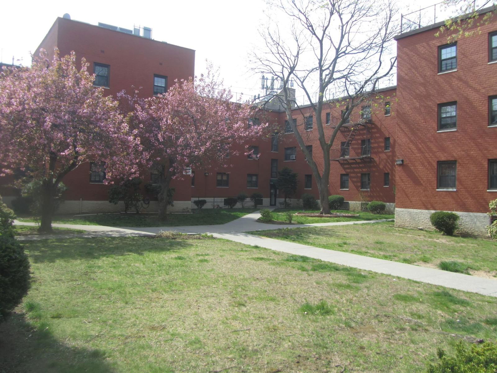 Real estate property located at 77-32 Main #2-B, Queens, Kew Gardens Hills, New York City, NY