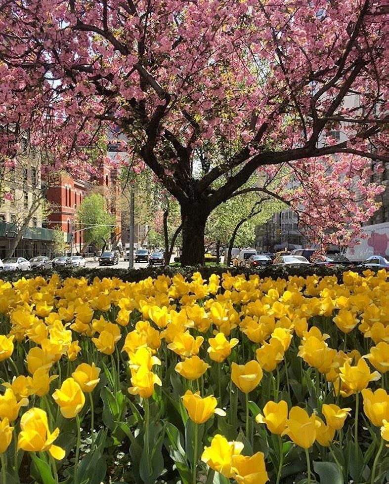 Real estate property located at 750 PARK #1C, New York, Lenox Hill, New York City, NY