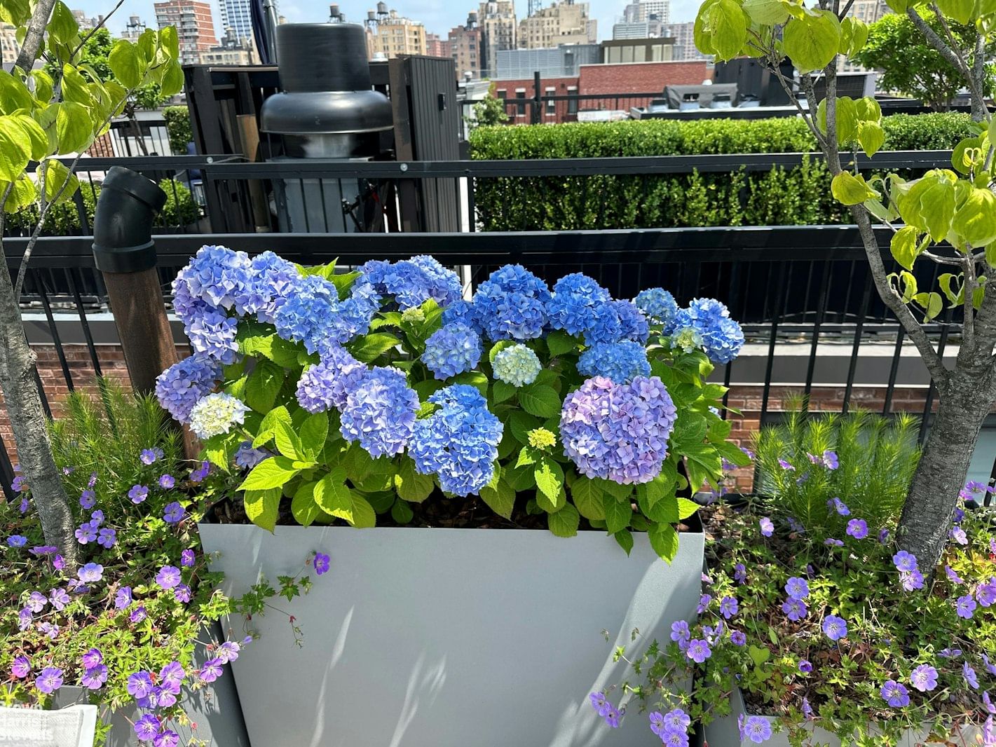 Real estate property located at 101 81ST #701/702, New York, Upper West Side, New York City, NY