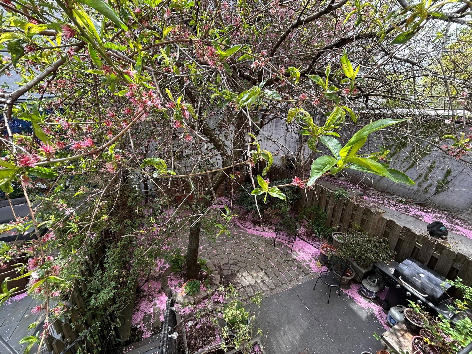 Real estate property located at 6 3RD, Kings, Carroll Gardens, New York City, NY