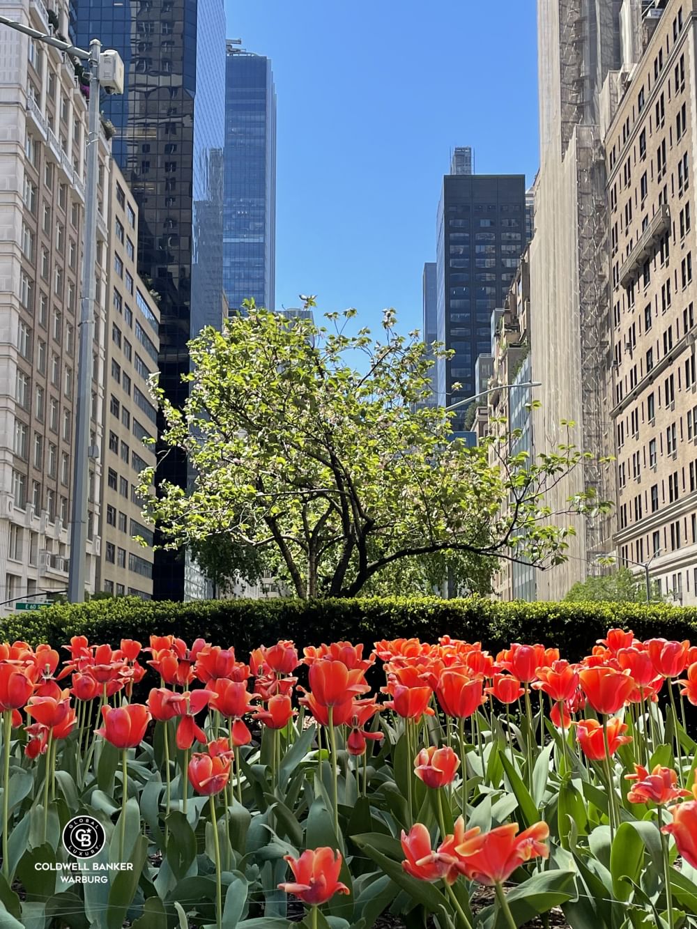 Real estate property located at 115 61ST PH, New York, Lenox Hill, New York City, NY