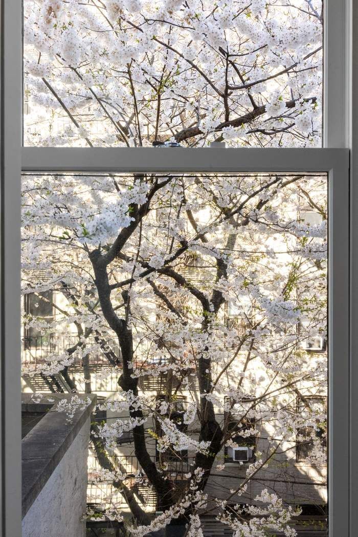 Real estate property located at 527 3rd, Kings, Park Slope, New York City, NY