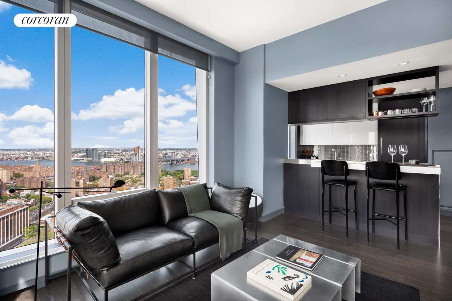 Real estate property located at 252 SOUTH #20L, New York, New York City, NY