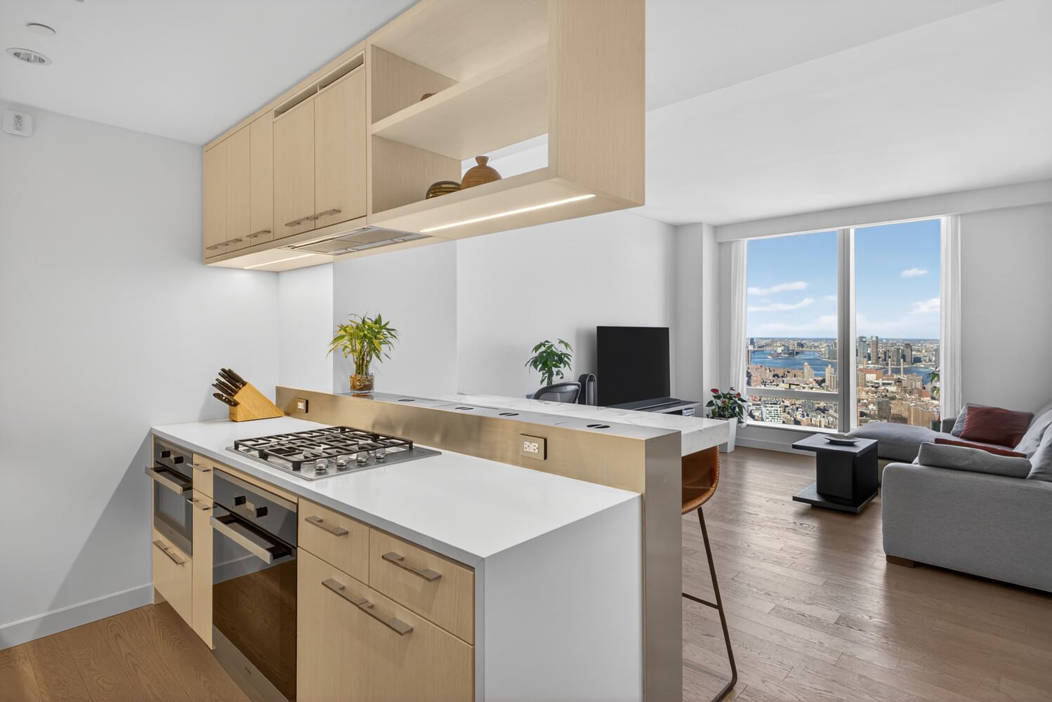 Real estate property located at 252 SOUTH #64G, New York, Two Bridges, New York City, NY, US