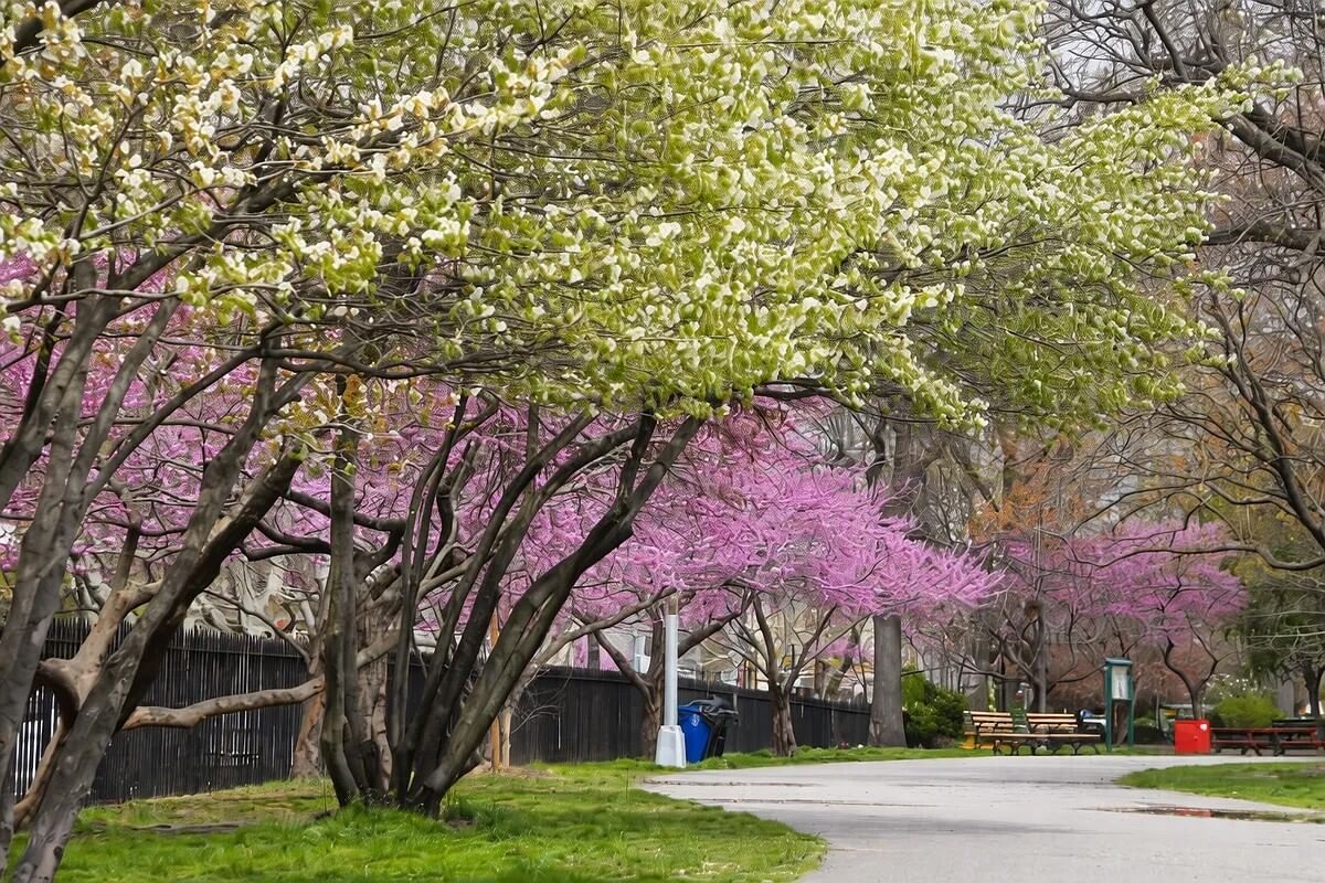 Real estate property located at 215 10TH #4E, Kings, Williamsburg, New York City, NY, US